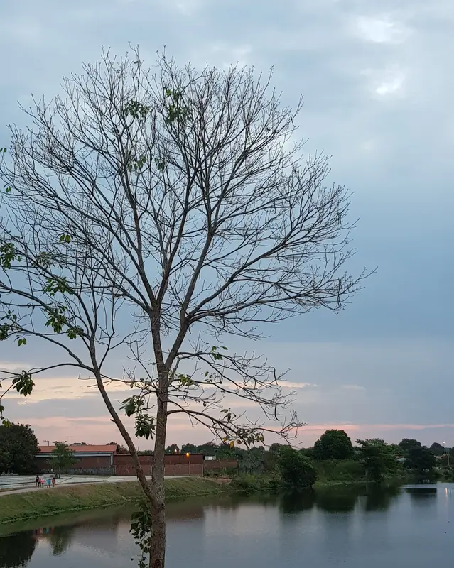 Audioguía de Parque Lagoas Do Norte