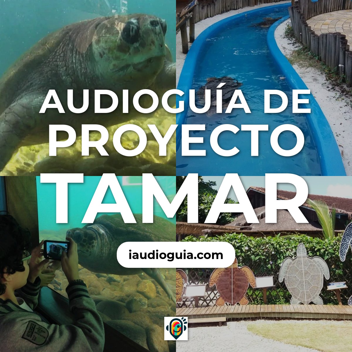 Audioguía de Proyecto Tamar