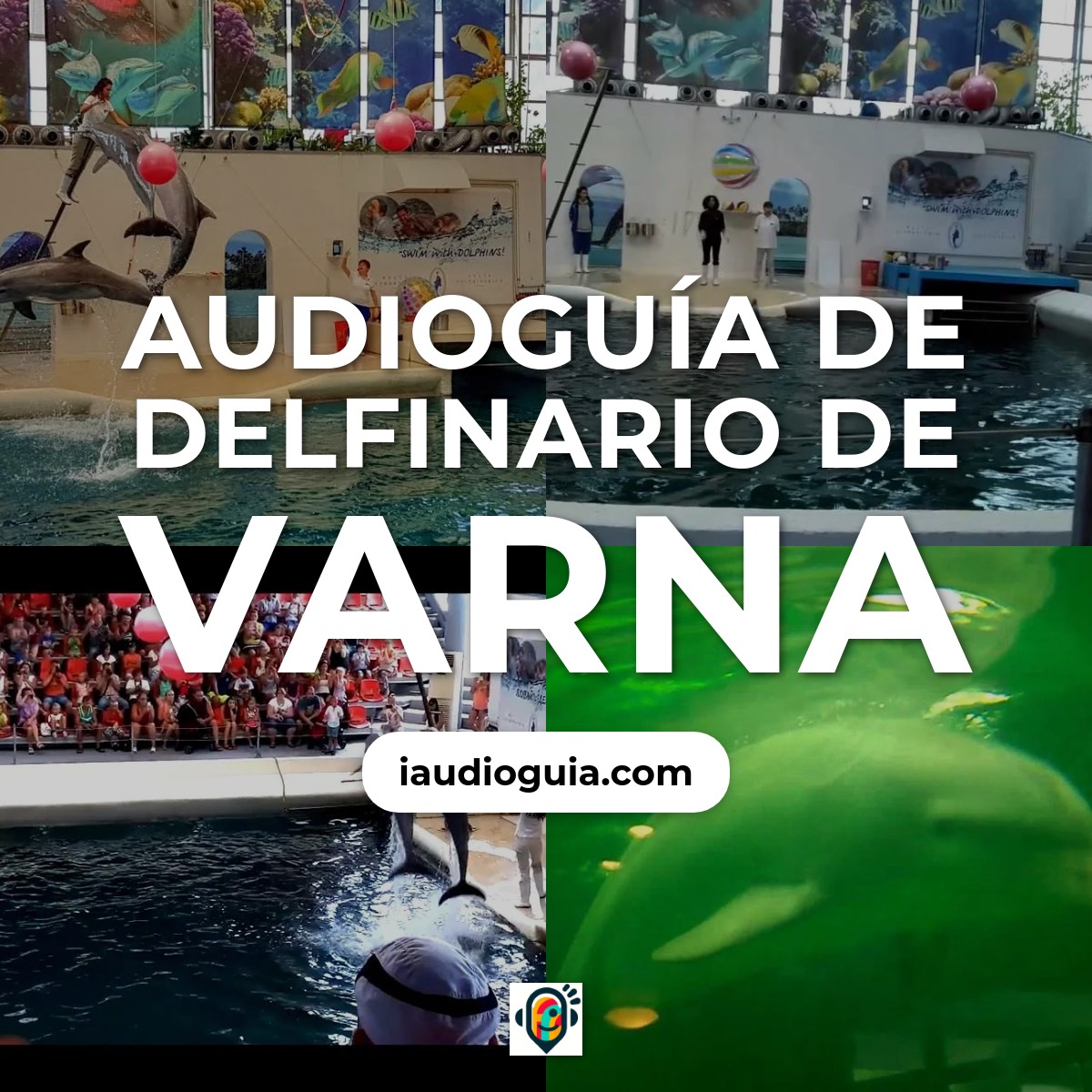 Audioguía de Dolphinarium Varna