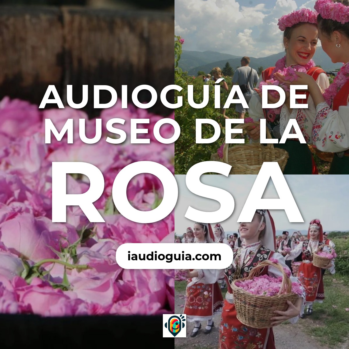 Audioguía de Museo Rosa