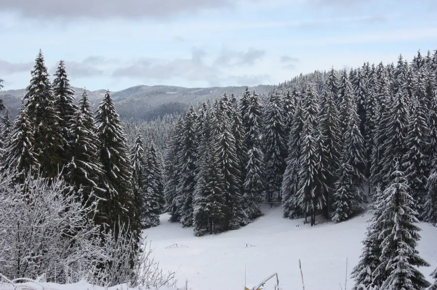 Audioguía de Pamporovo Ski Resort