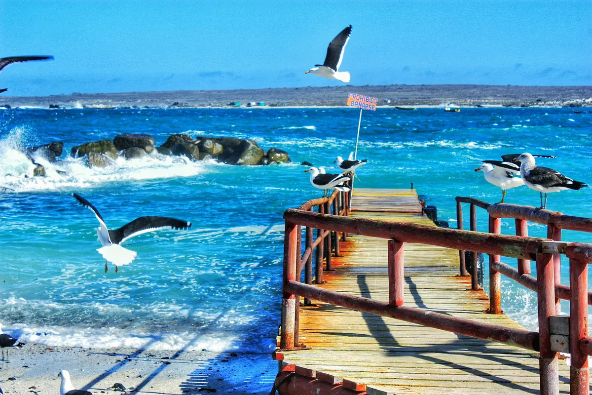 Audioguía de Punta Choros