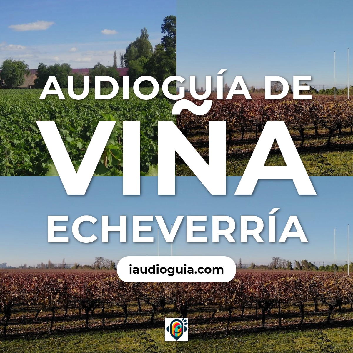 Audioguía de Vina Echeverria