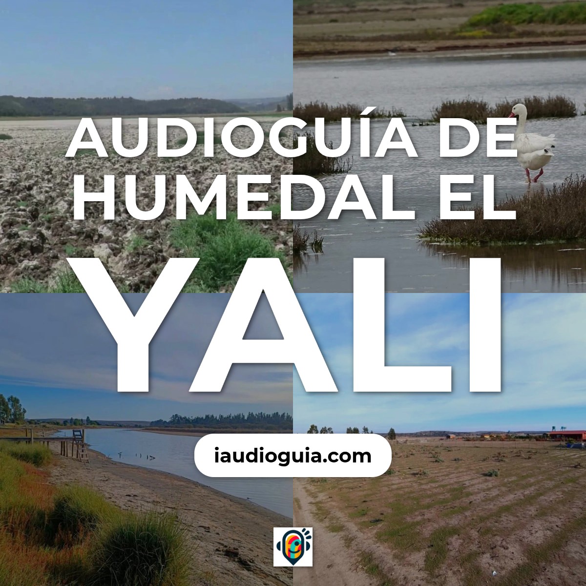 Audioguía de Humedal Yali