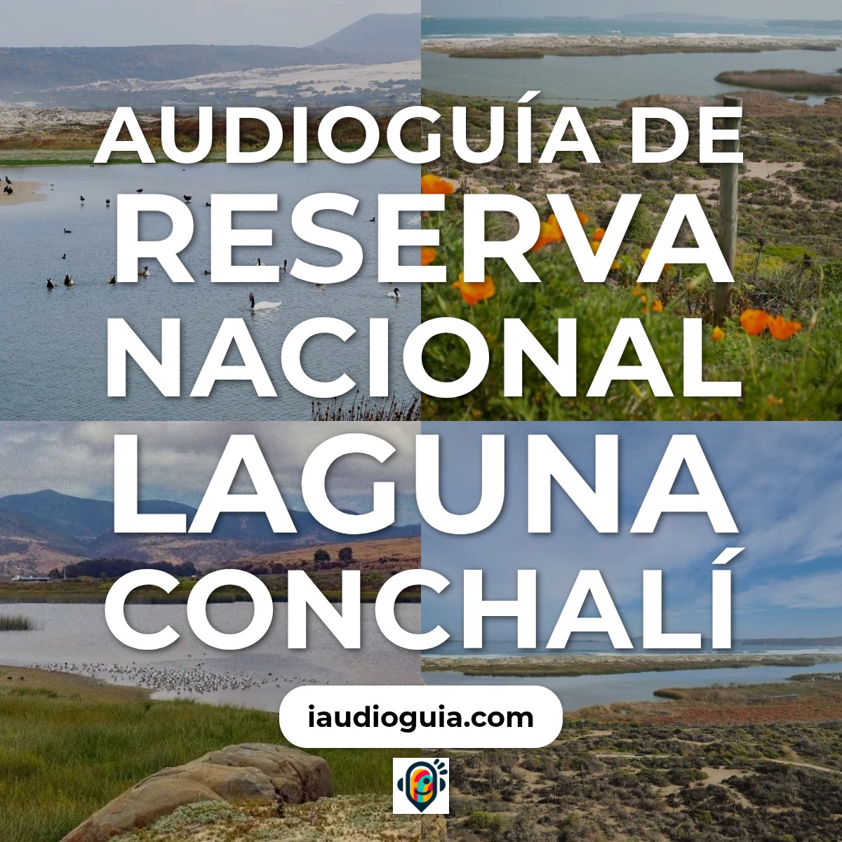 Audioguía de Reserva Nacional Laguna Conchali