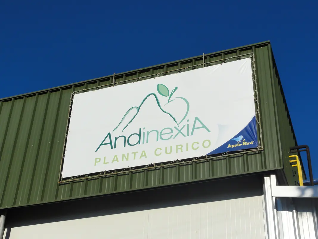 Audioguía de Curico