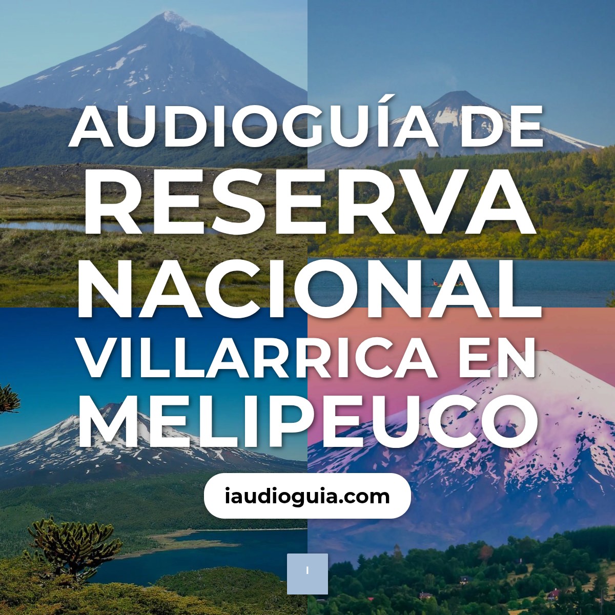 Audioguía de Reserva Nacional Villarrica