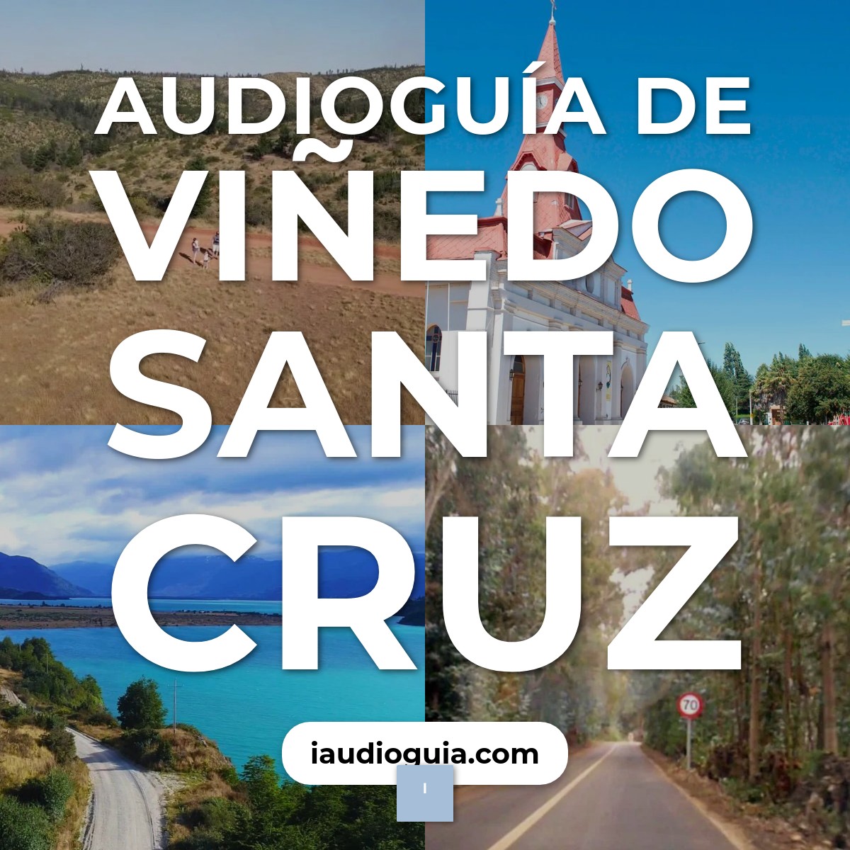 Audioguía de Vinedo Santa Cruz