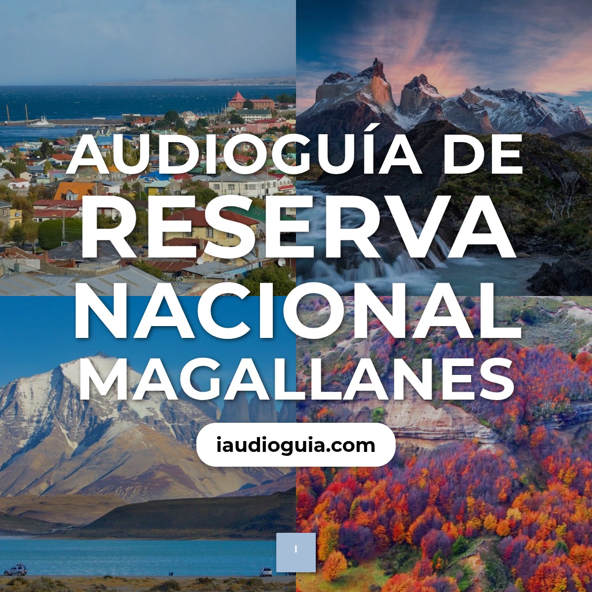 Audioguía de Reserva Nacional Magallanes