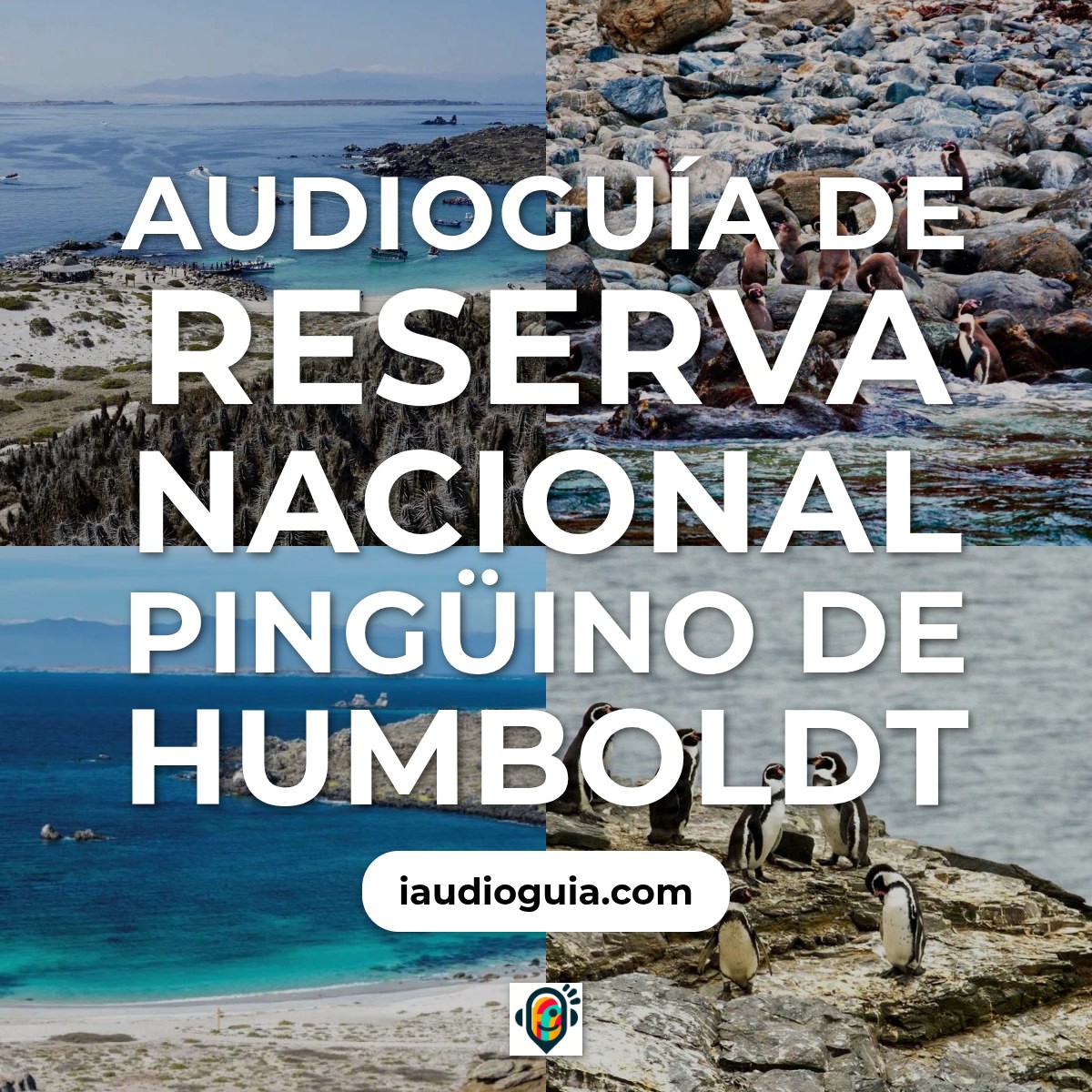 Audioguía de Reserva Nacional Pinguino Humboldt
