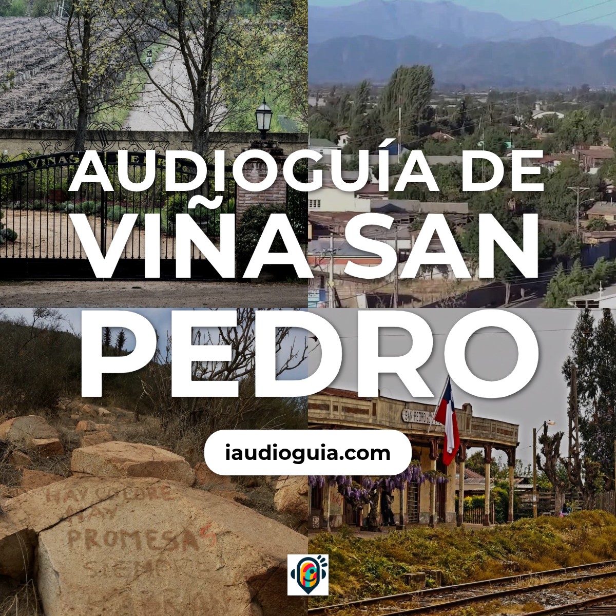 Audioguía de Vina San Pedro