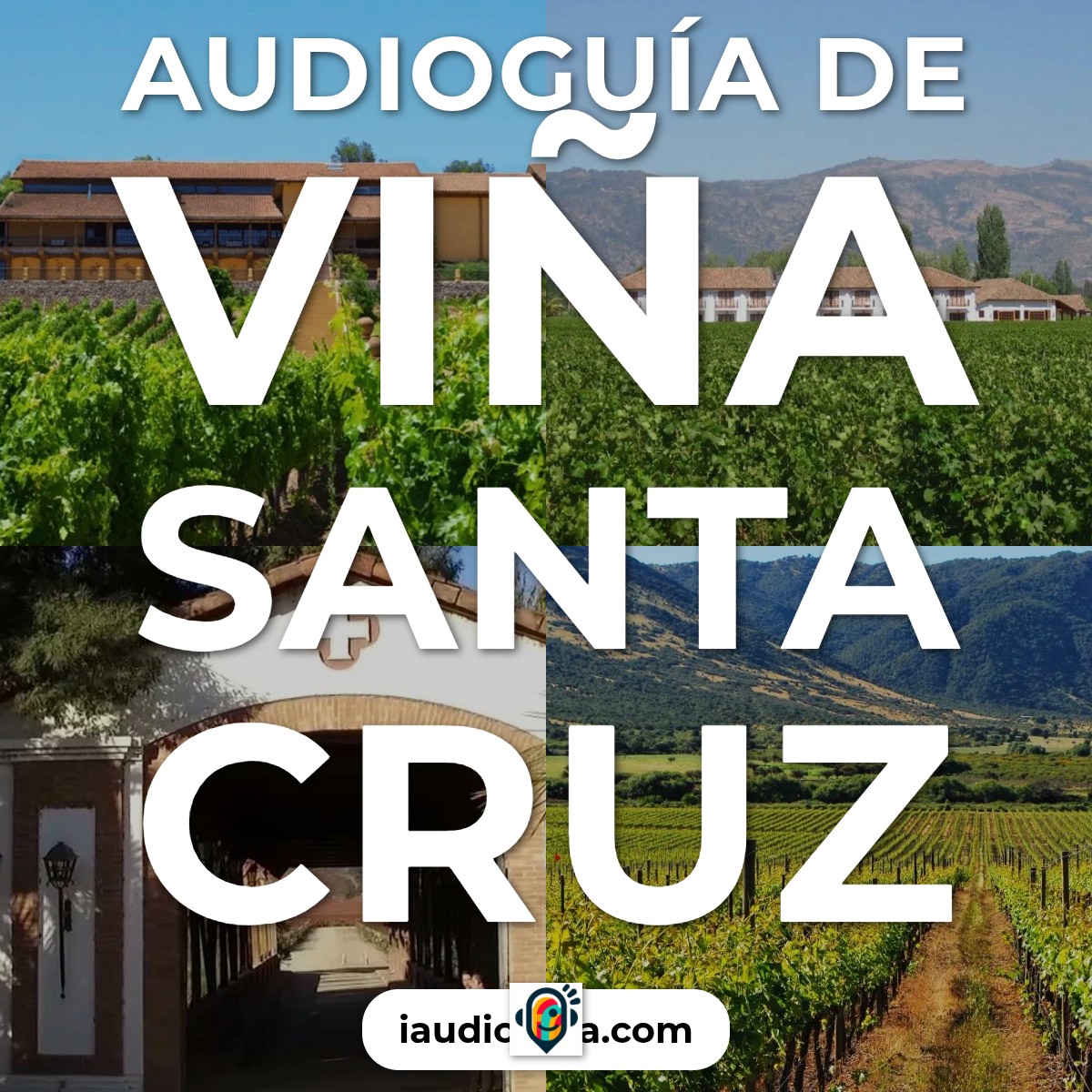 Audioguía de Vina Santa Cruz