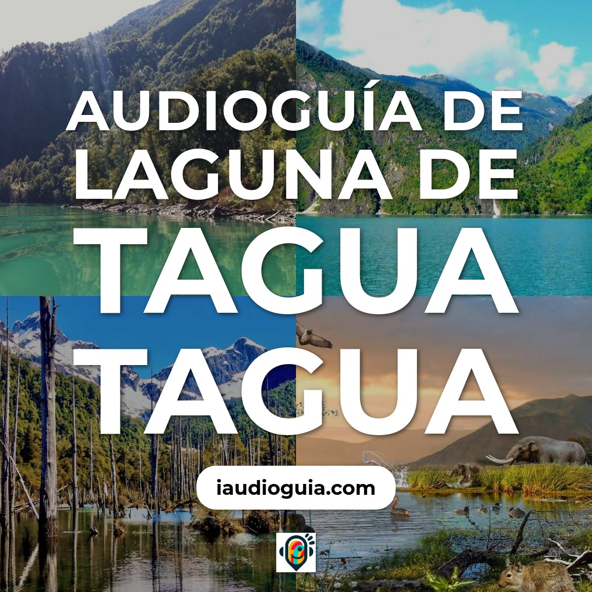 Audioguía de Laguna Tagua Tagua