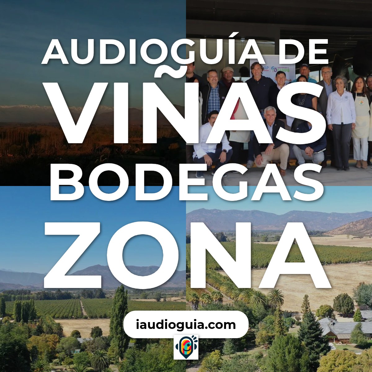 Audioguía de Vinas Bodegas Zona