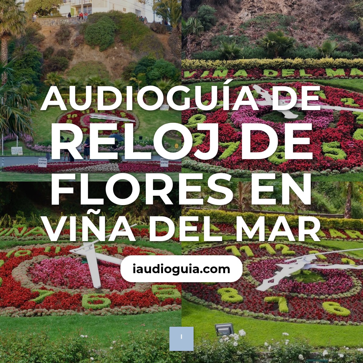 Audioguía de Reloj Flores