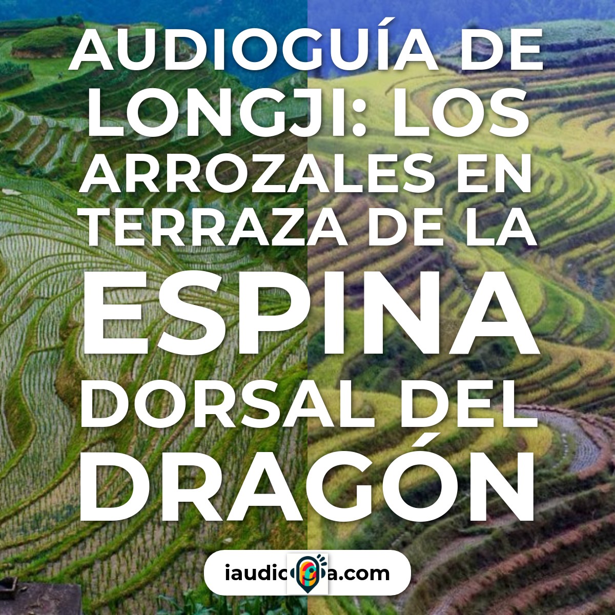 Audioguía de Longji Arrozales En Terraza Espina Dorsal Del Dragon