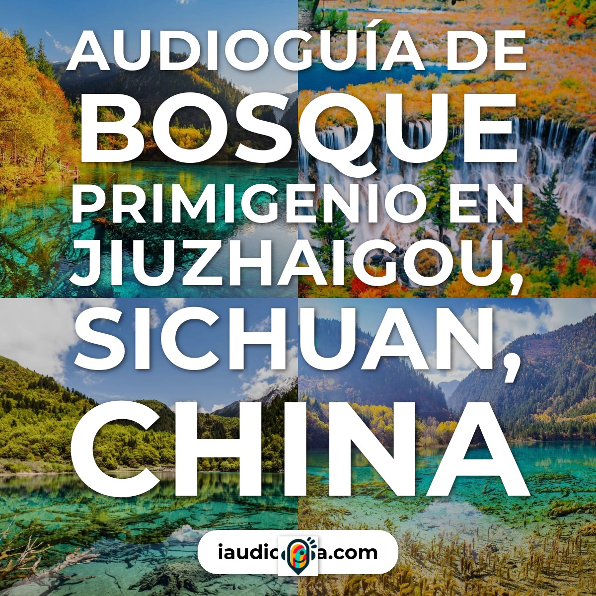 Audioguía de Bosque Primigenio
