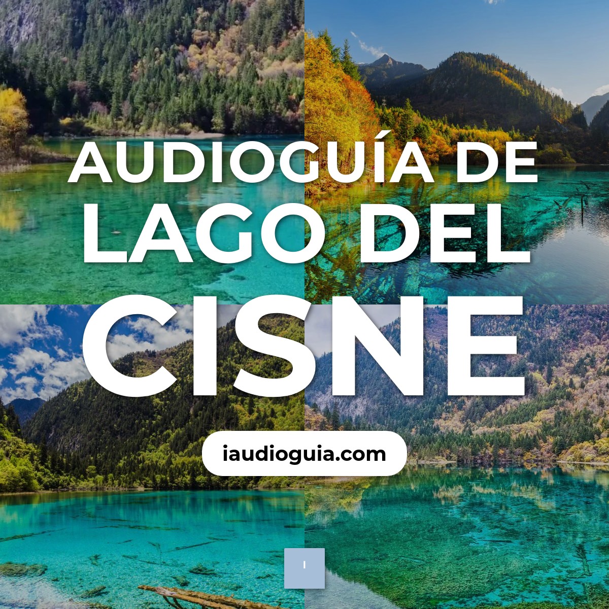 Audioguía de Lago Del Cisne