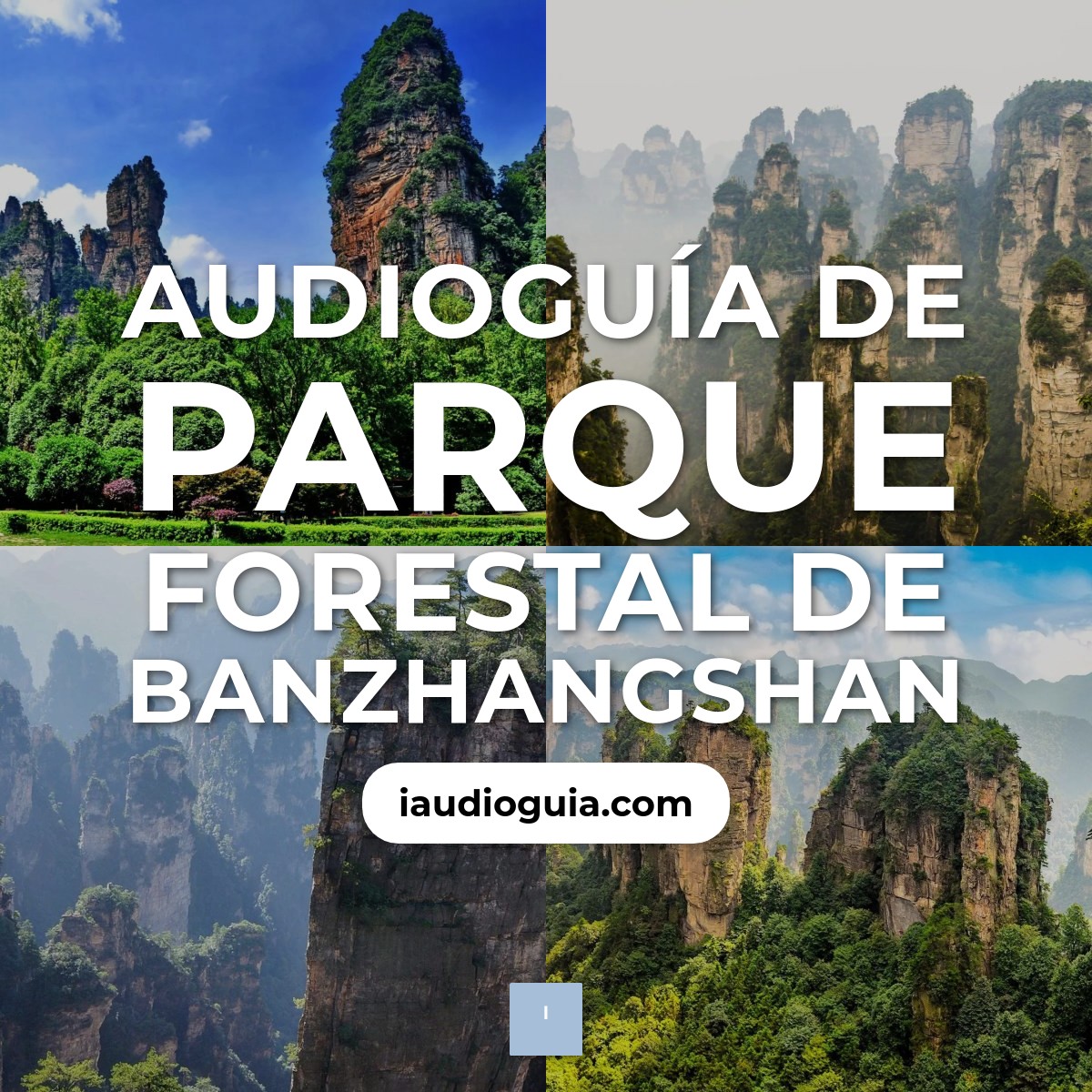Audioguía de Parque Forestal Banzhangshan