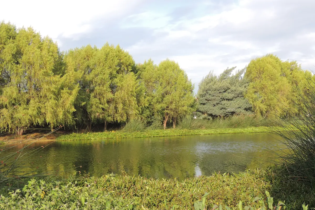 Audioguía de Humedal La Vaca