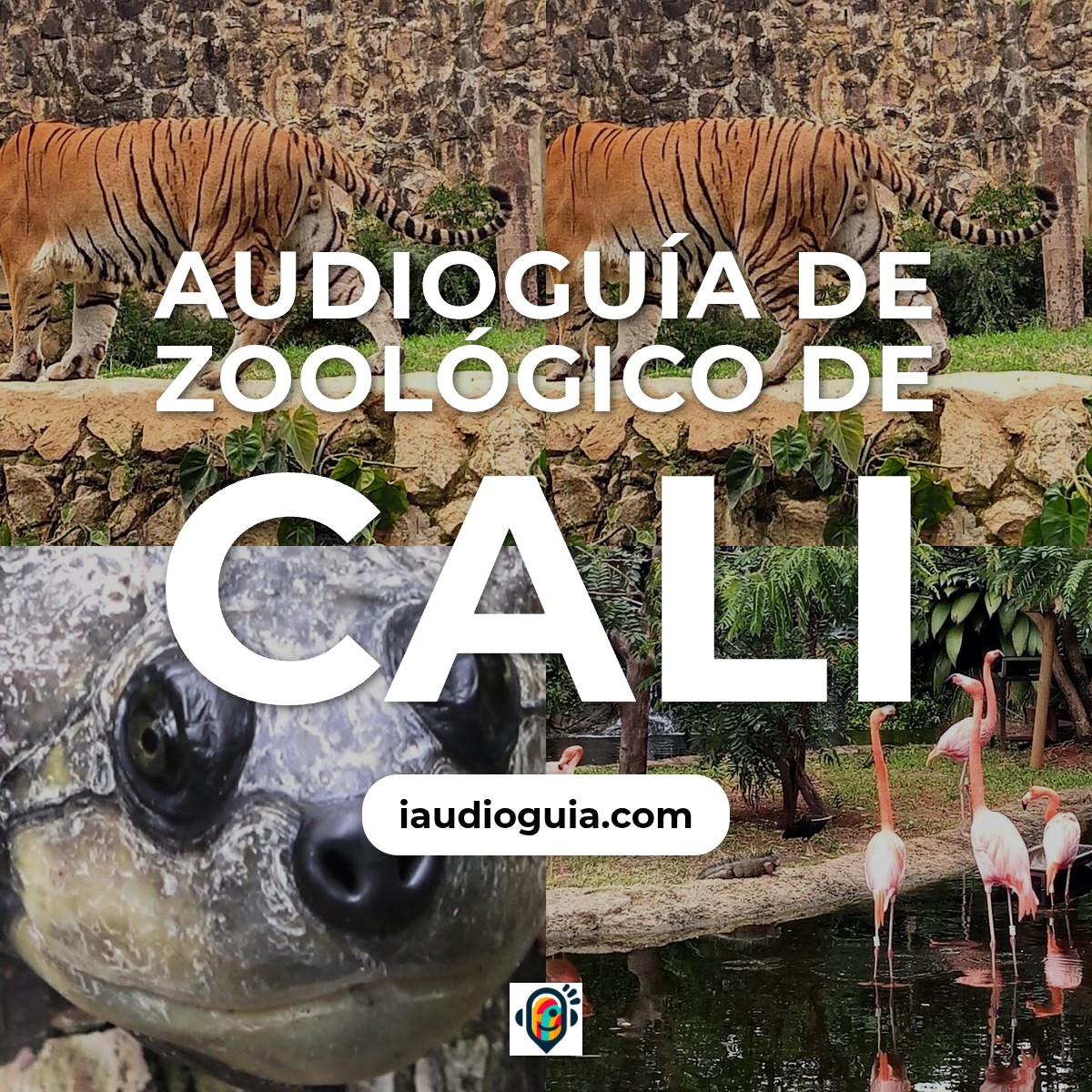 Audioguía de Zoologico Cali
