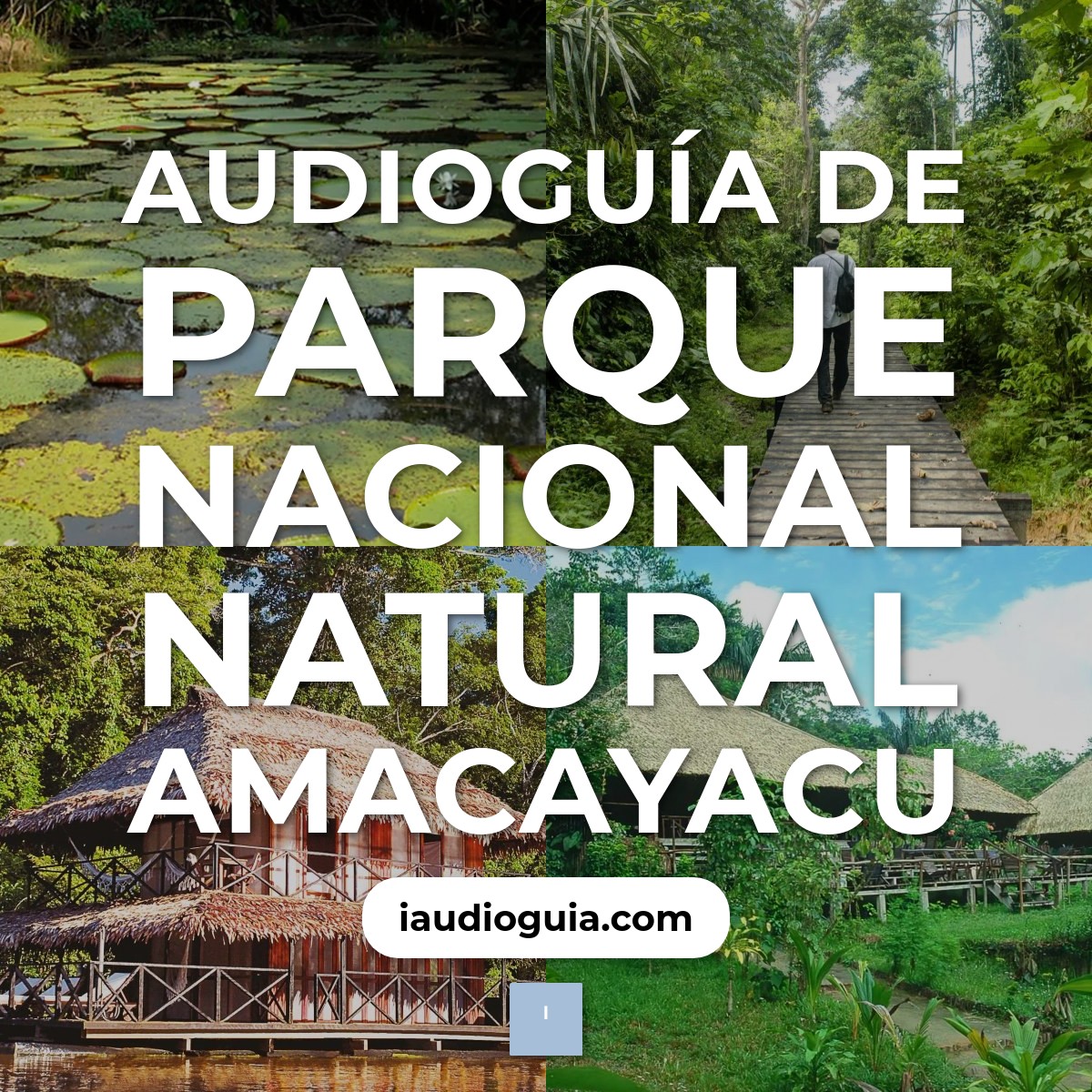 Audioguía de Parque Nacional Natural Amacayacu
