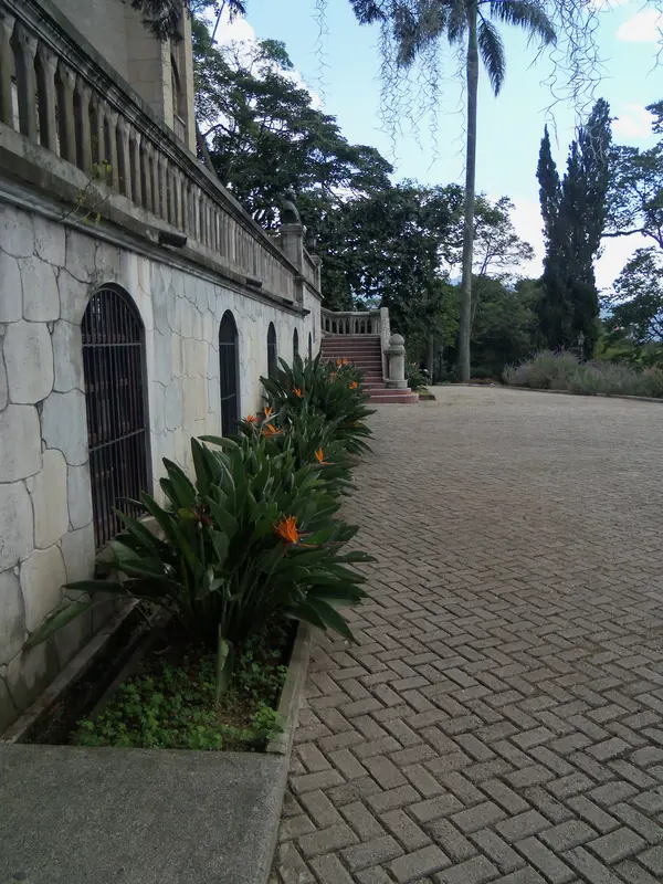 Audioguía de Museo El Castillo