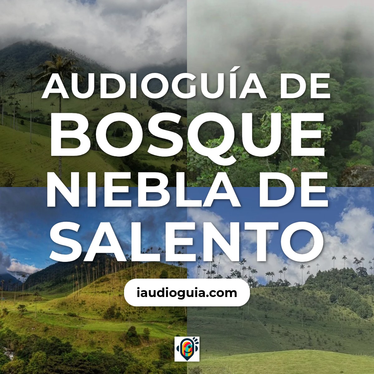Audioguía de Bosque Niebla