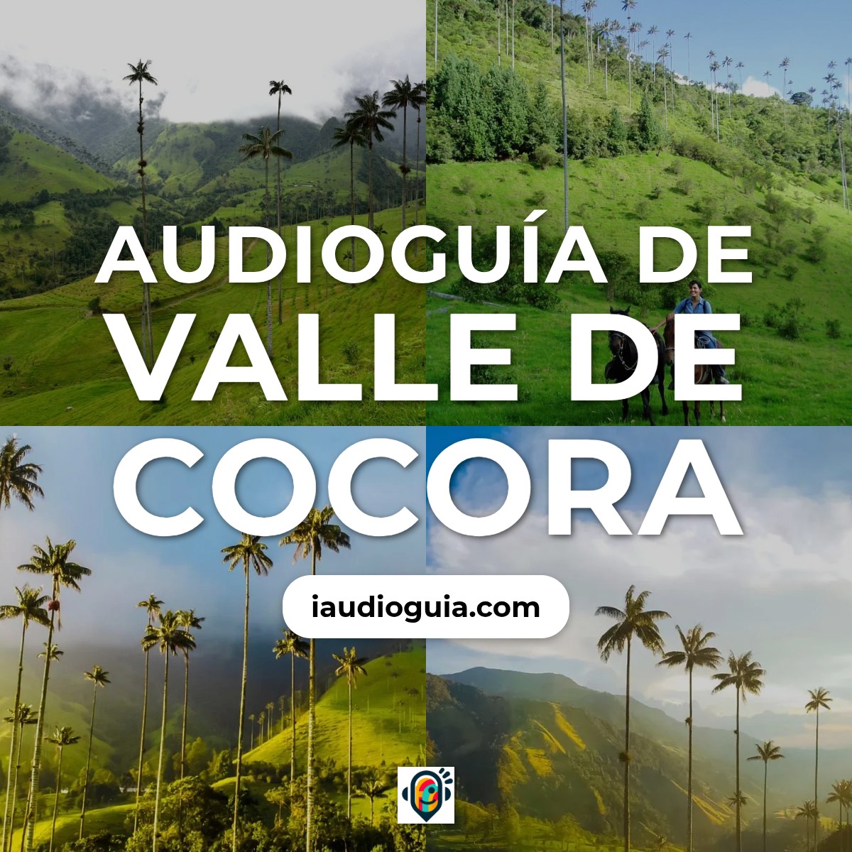 Audioguía de Valle Cocora