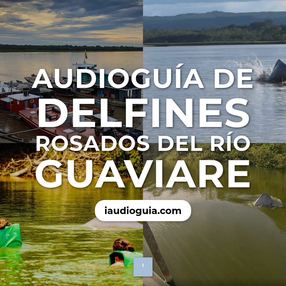 Audioguía de Delfines Rosados Del Rio Guaviare