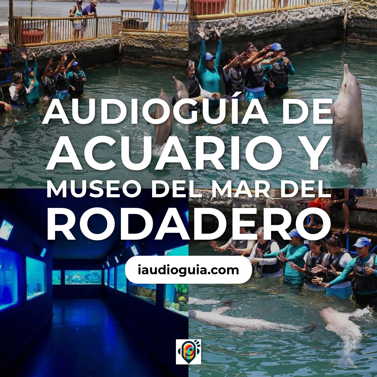 Audioguía de Acuario Museo Del Mar Del Rodadero