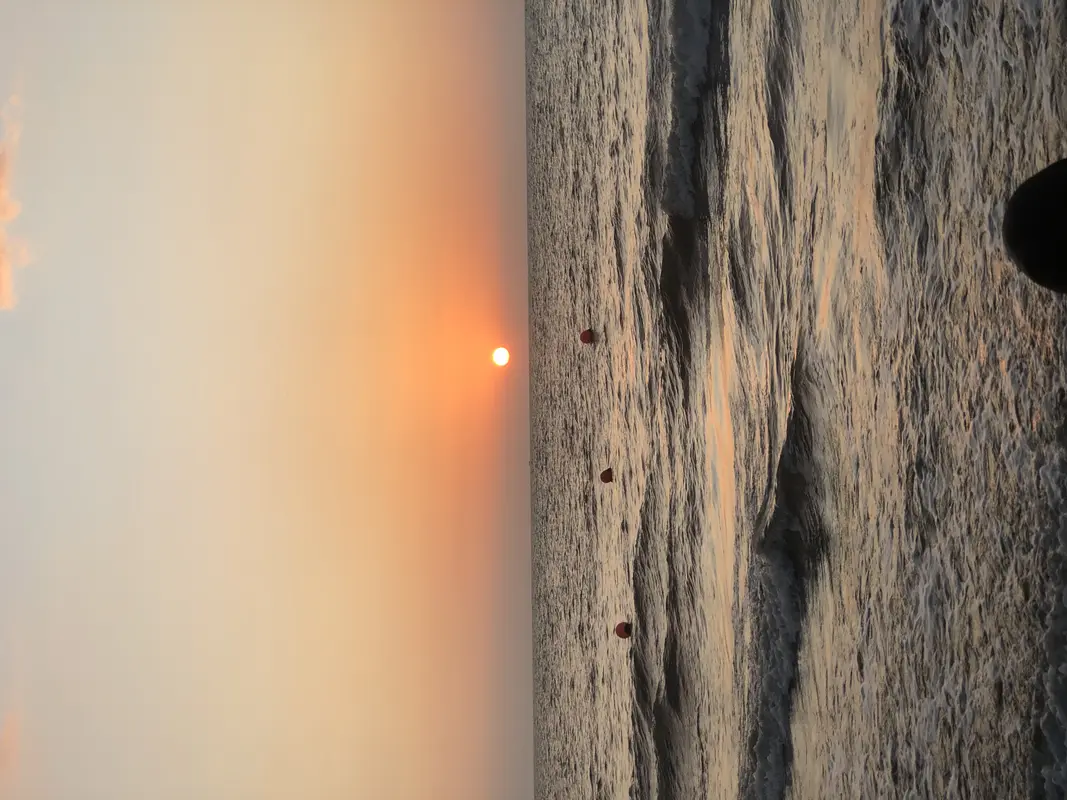 Audioguía de Playa Del Frances