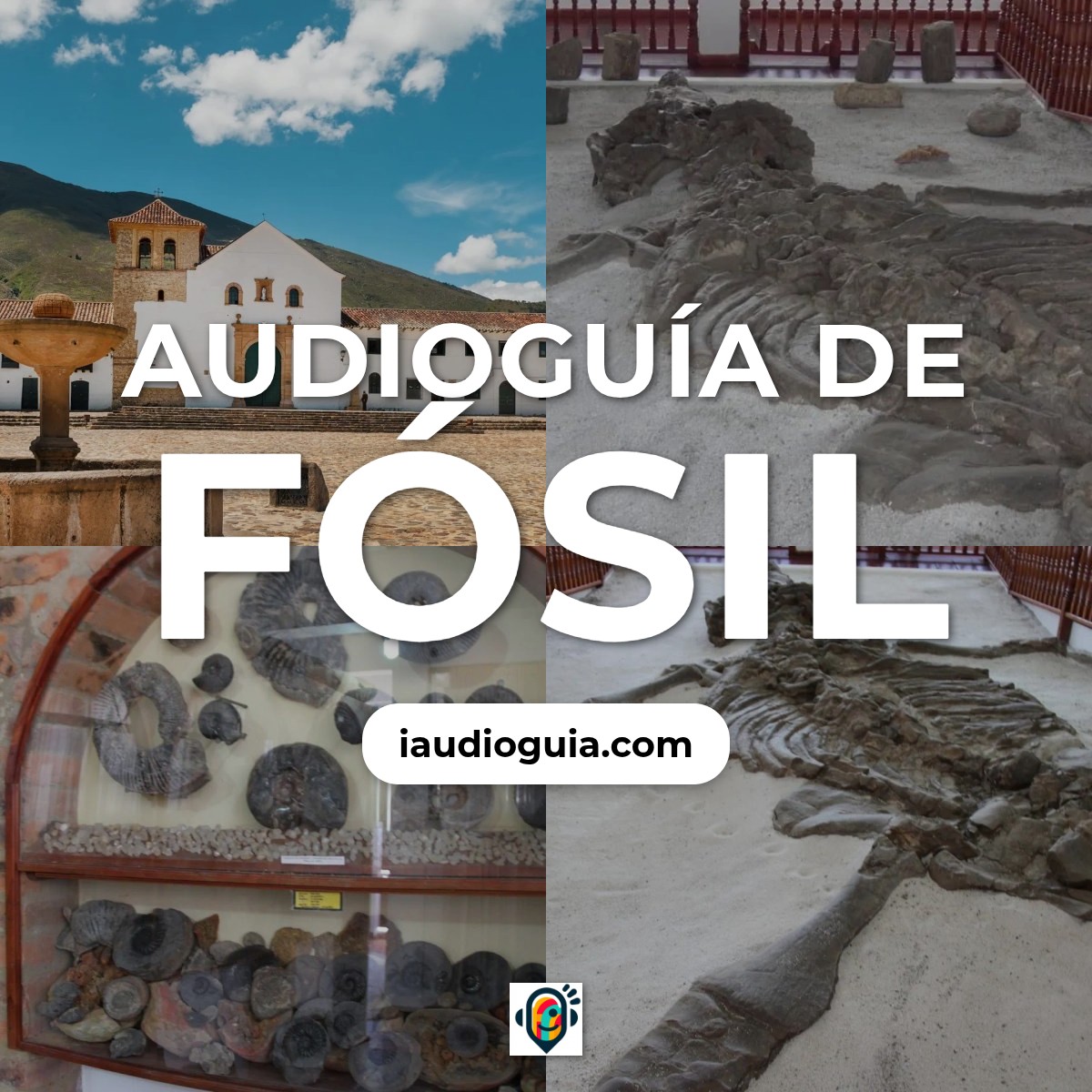Audioguía de Fossil