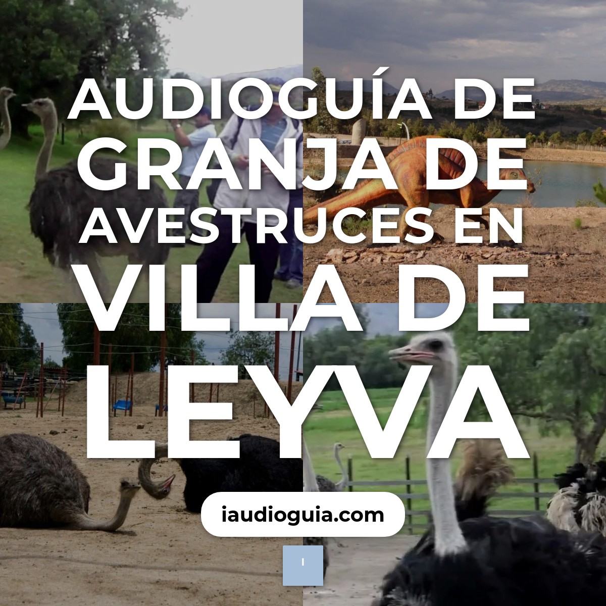 Audioguía de Granja Avestruces
