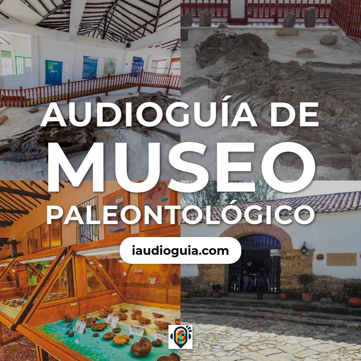 Audioguía de Museo Paleontologico