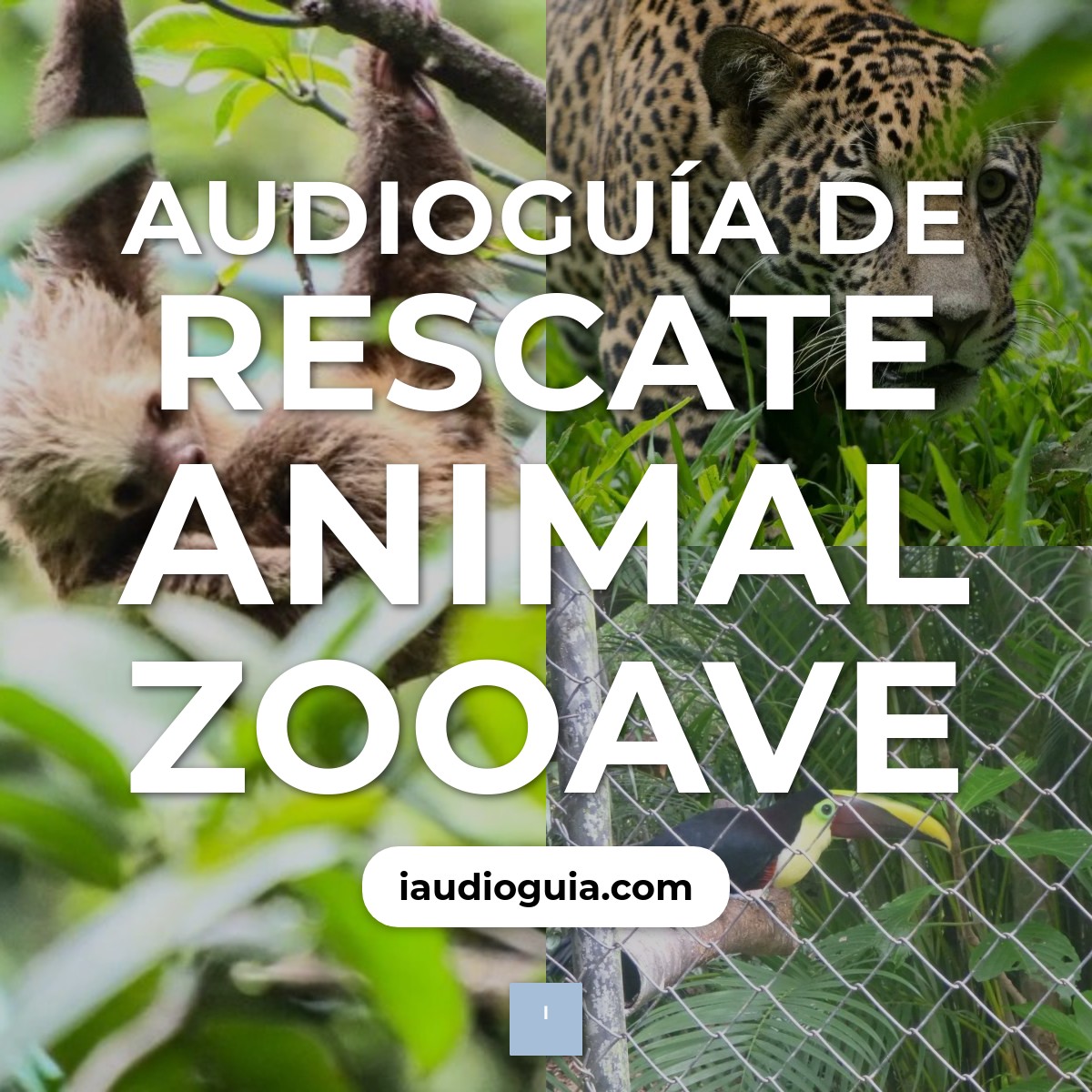 Audioguía de Rescate Animal Zooave