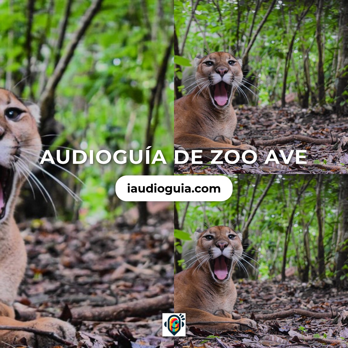 Audioguía de Zoo Ave