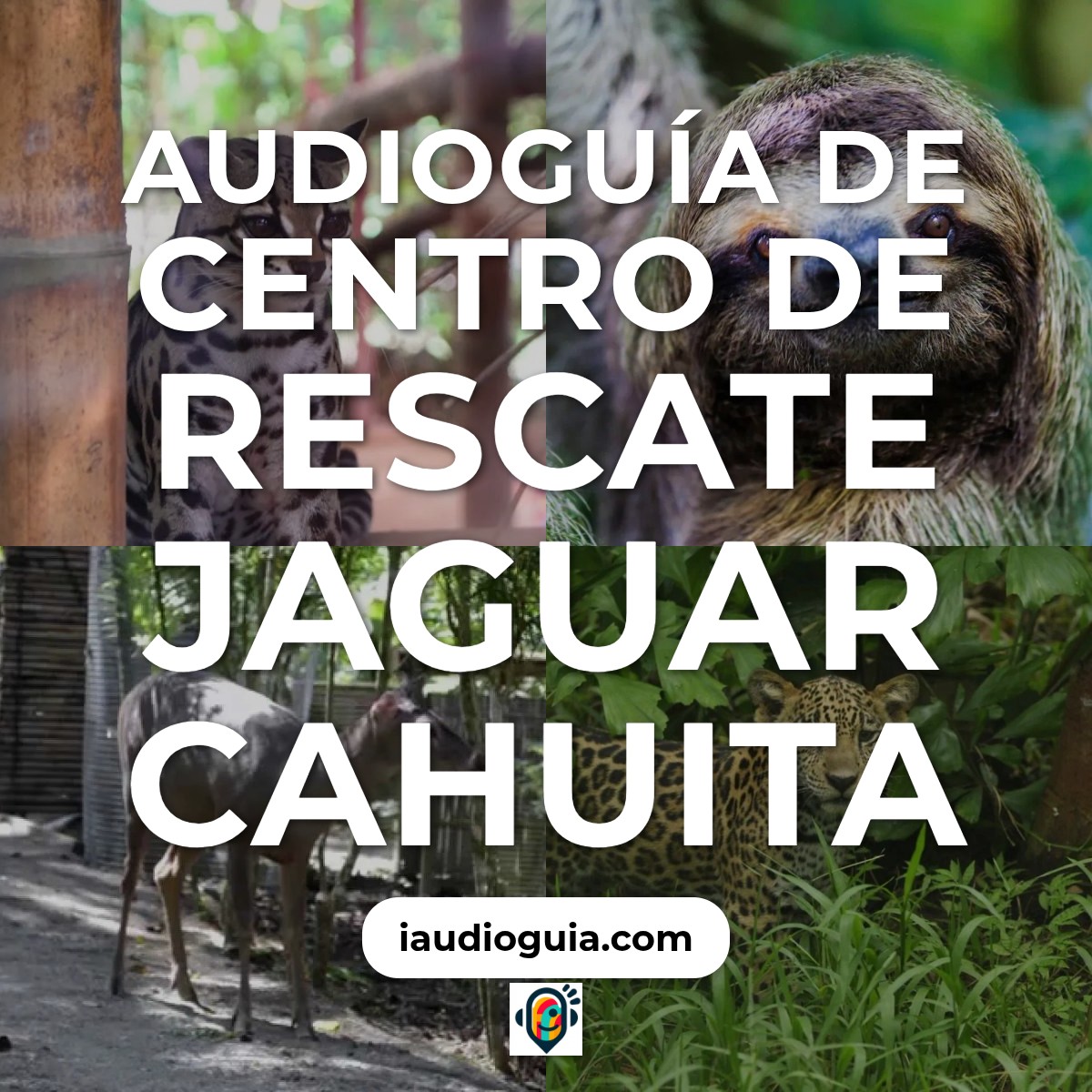 Audioguía de Centro Rescate Jaguar