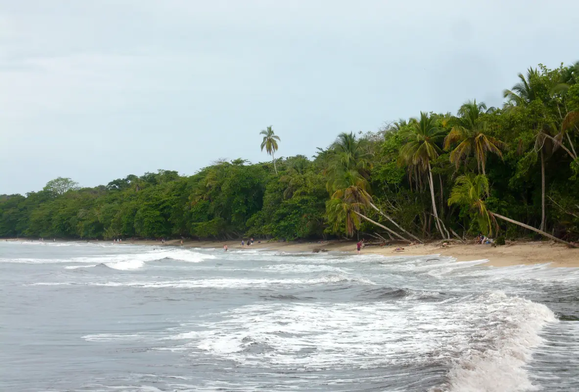 Audioguía de Parque Nacional Cahuita