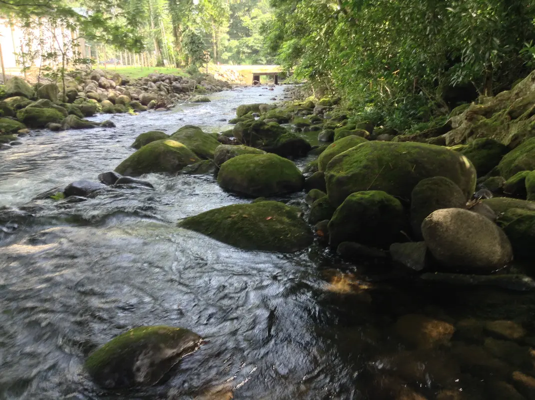Audioguía de Guapiles