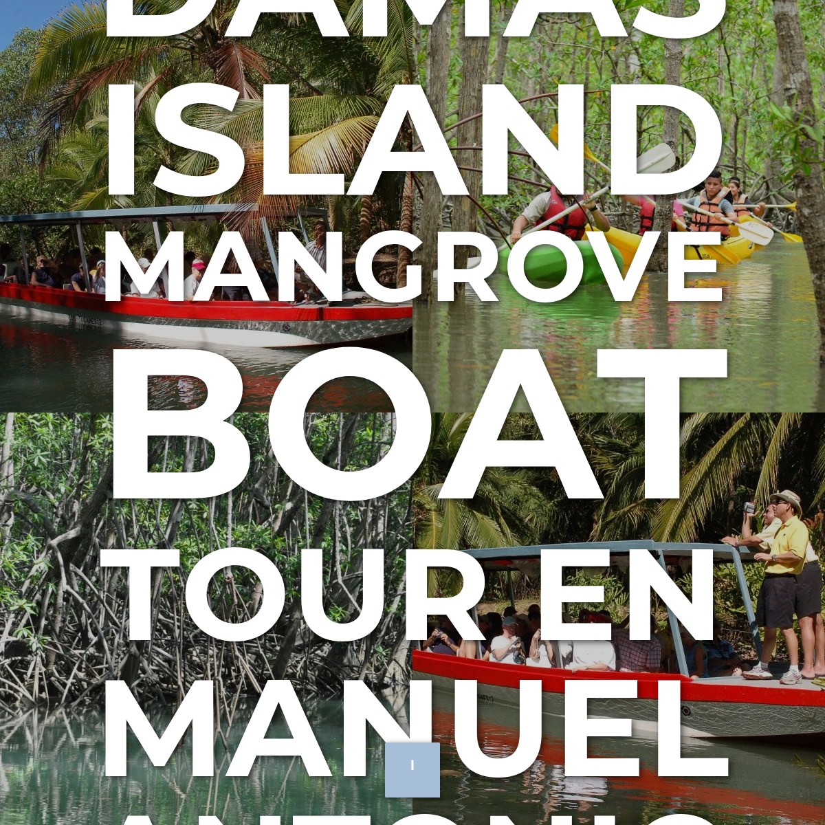 Audioguía de Damas Island Mangrove Boat Tour