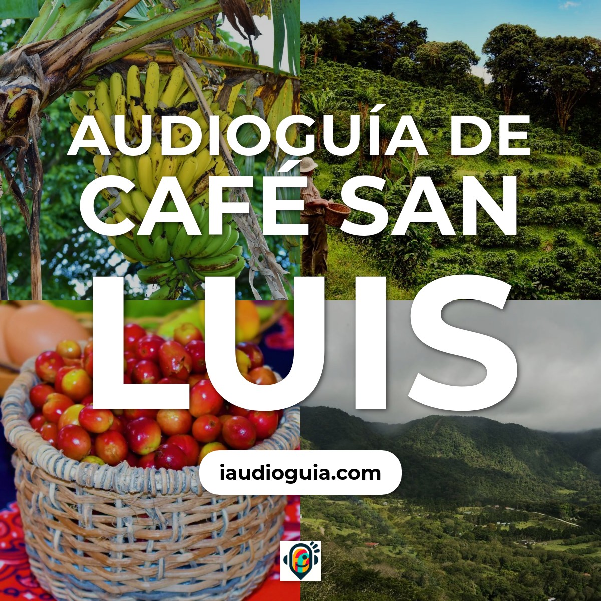 Audioguía de Cafe San Luis