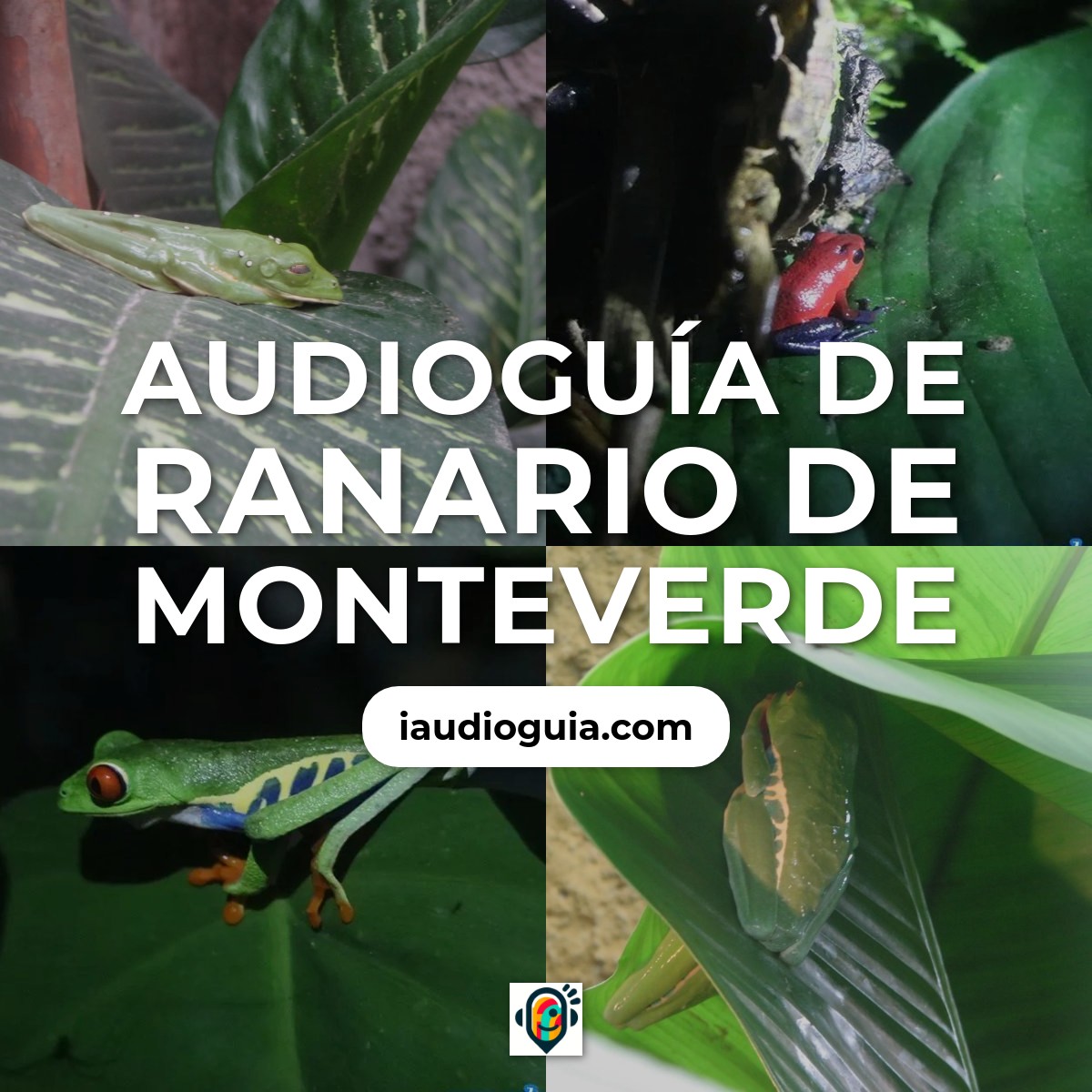 Audioguía de Ranario