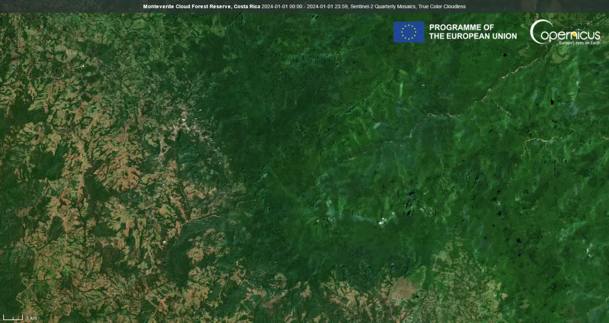 Audioguía de Reserva Biologica Bosque Nuboso Monteverde