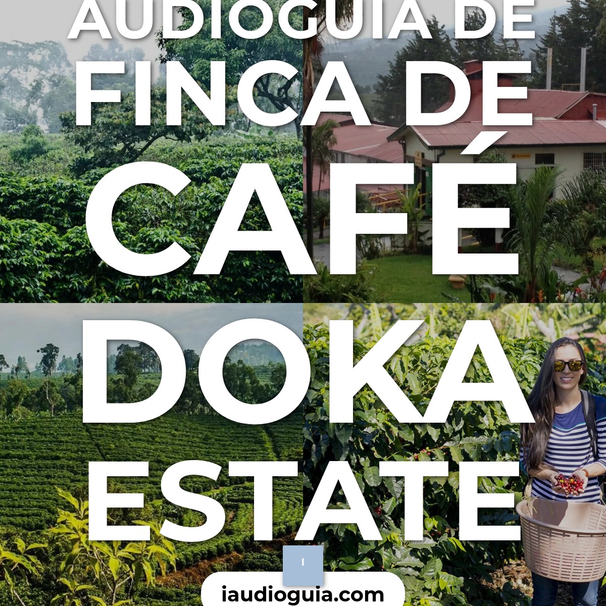 Audioguía de Finca Cafe Doka Estate