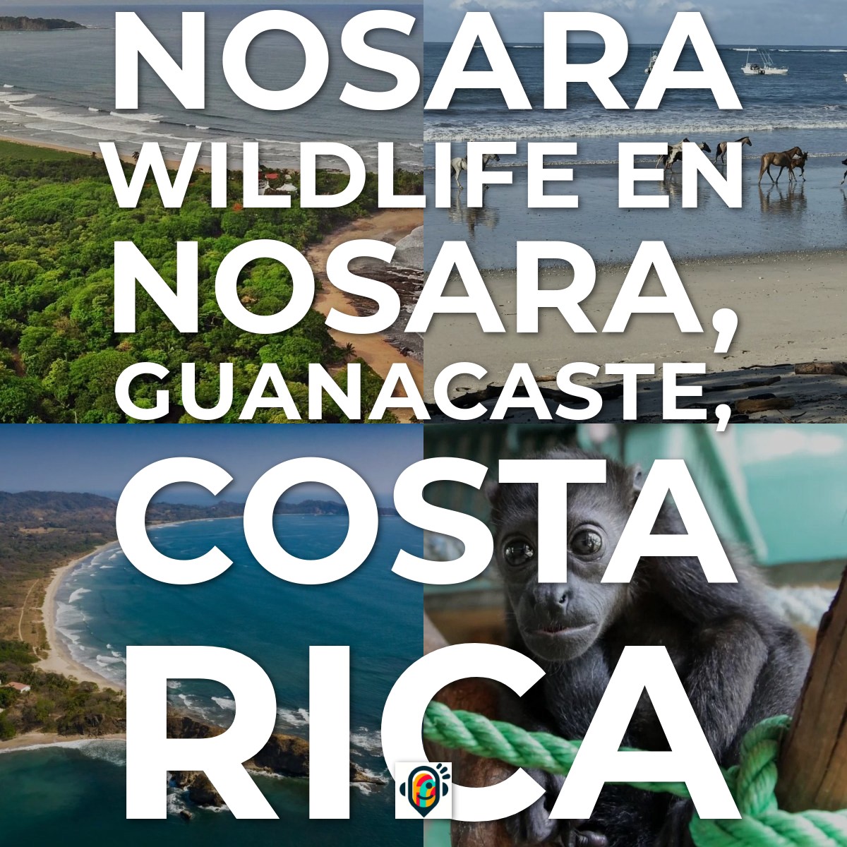 Audioguía de Nosara Wildlife