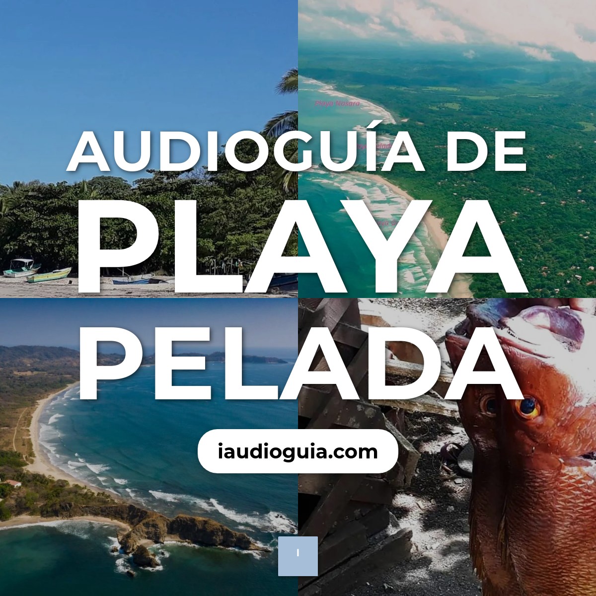 Audioguía de Playa Pelada