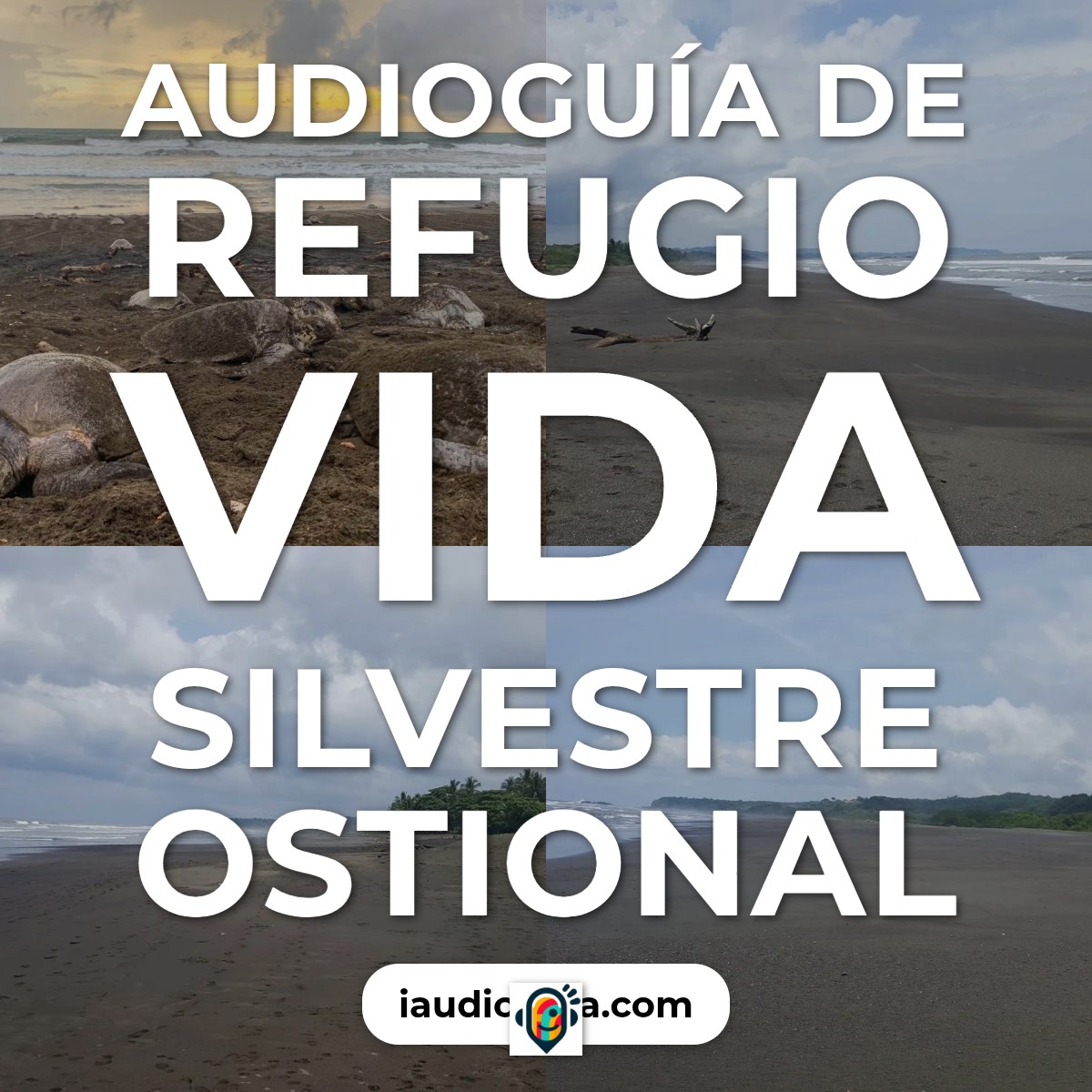 Audioguía de Refugio Vida Silvestre Ostional