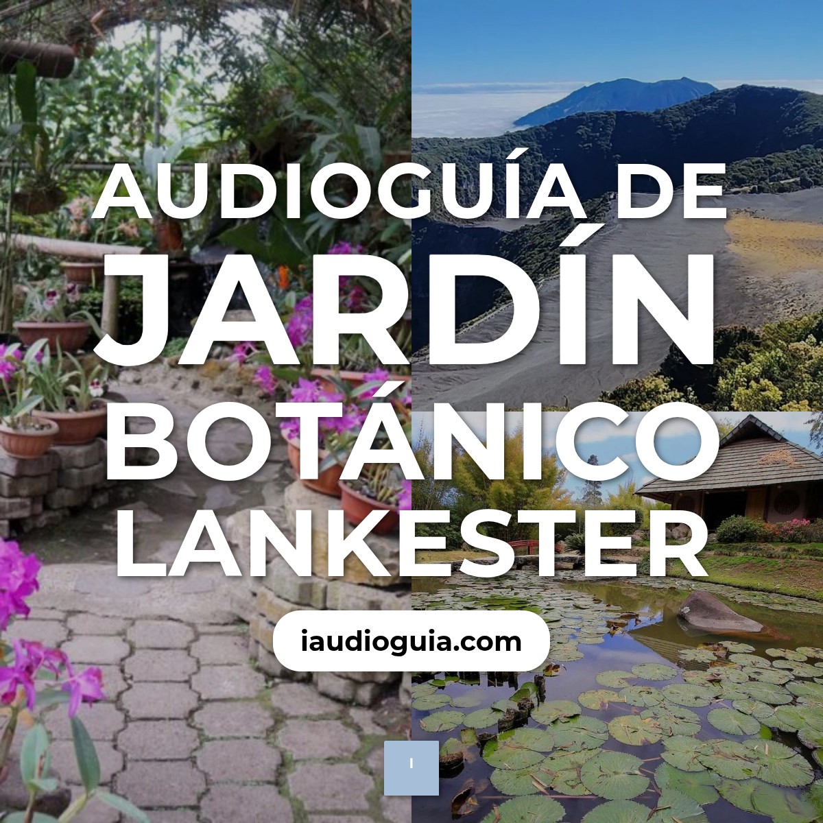 Audioguía de Jardin Lankester