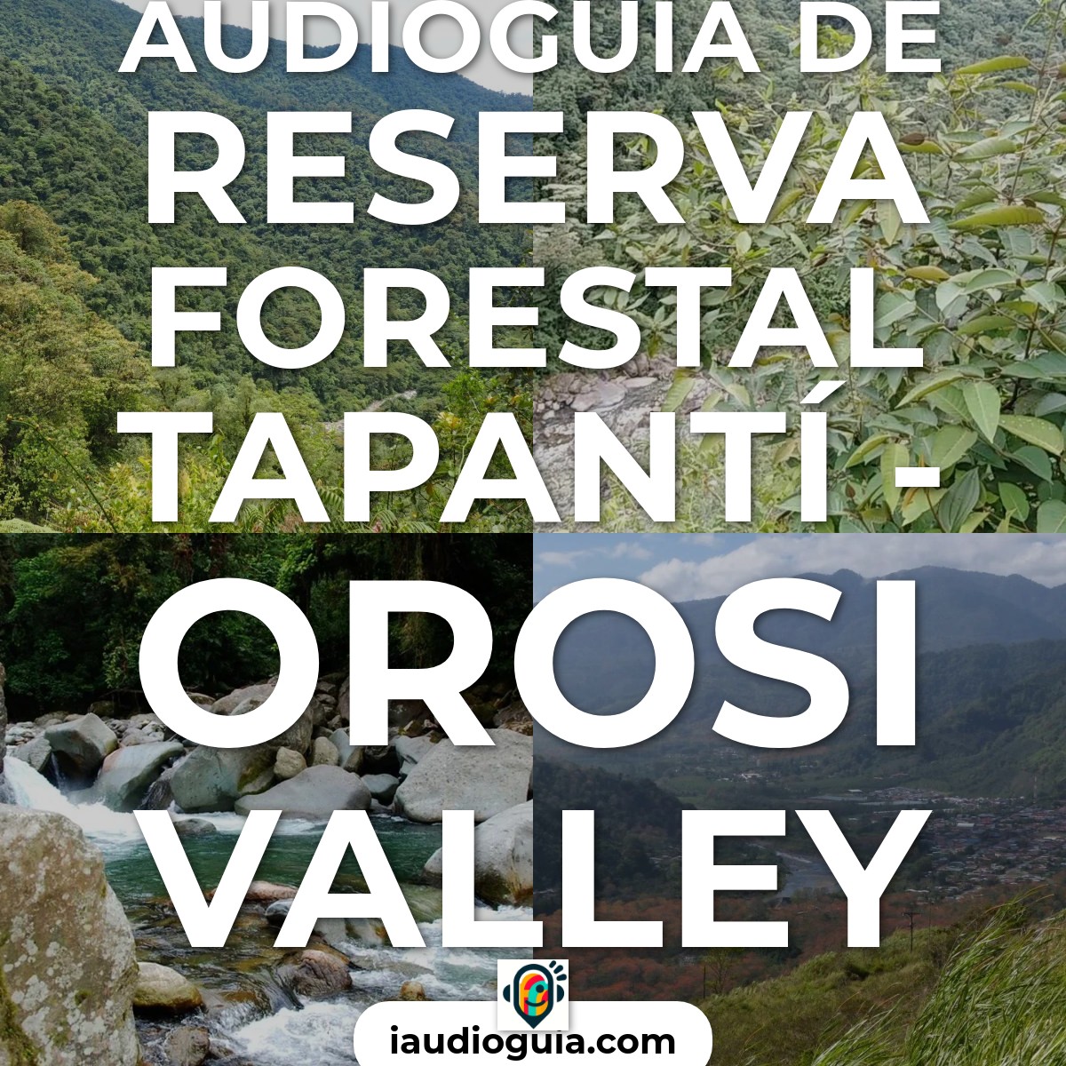Audioguía de Reserva Forestal Tapanti
